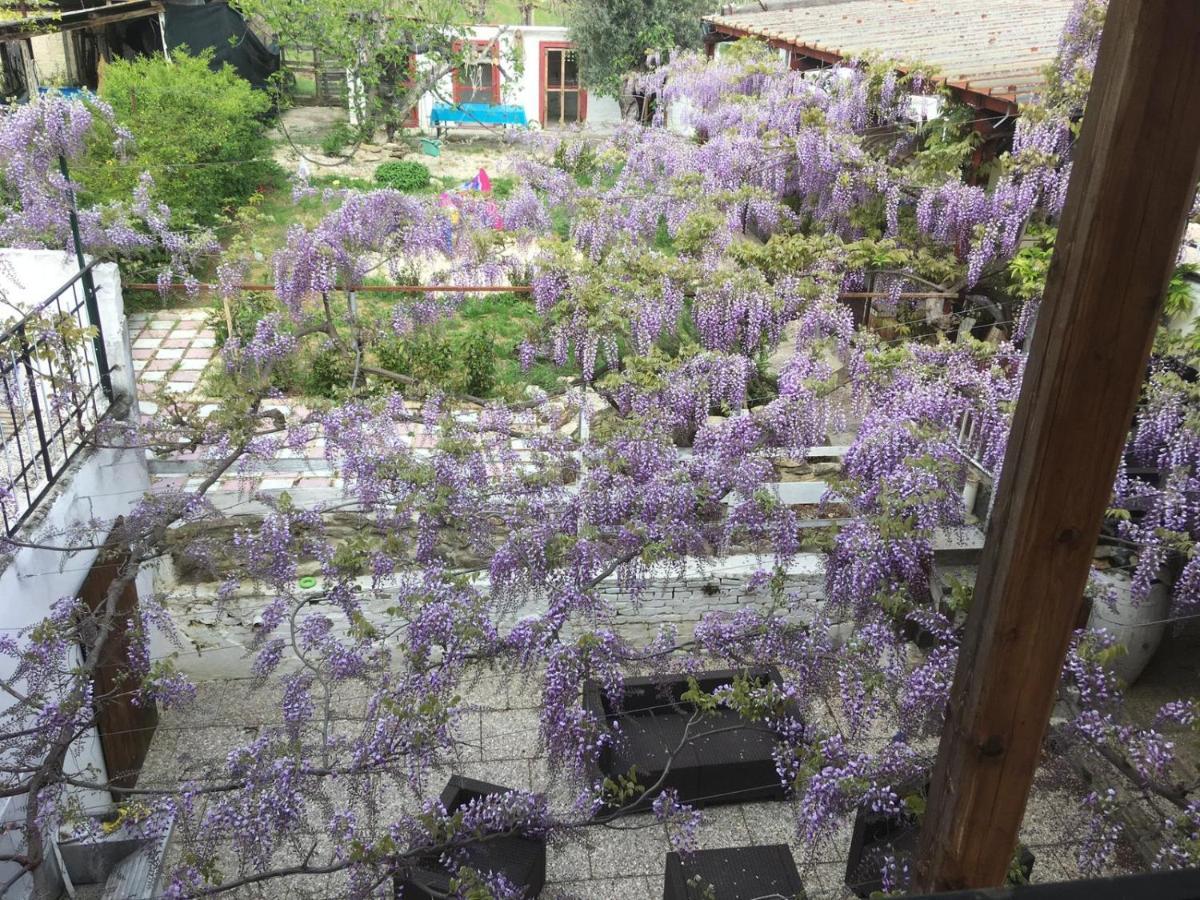B&B Il Secolo Breve Ortona Zewnętrze zdjęcie